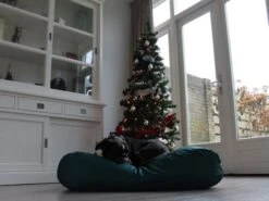 Hondenbed Groen Vuilafstotende Coating Small