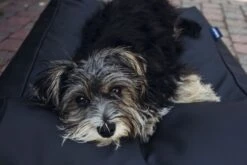 Hondenbed Zwart Leather Look Extra Small -Trixie || Beeztees || Hunter Verkoopwinkel file 144