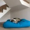 Hondenbed Aqua Blauw Small