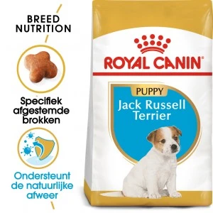 Royal Canin Jack Russell Terriër Junior Hondenvoer 1.5 Kg 2 Royal Canin Jack Russell Terriër Junior Hondenvoer 1.5 Kg - Afbeelding 2