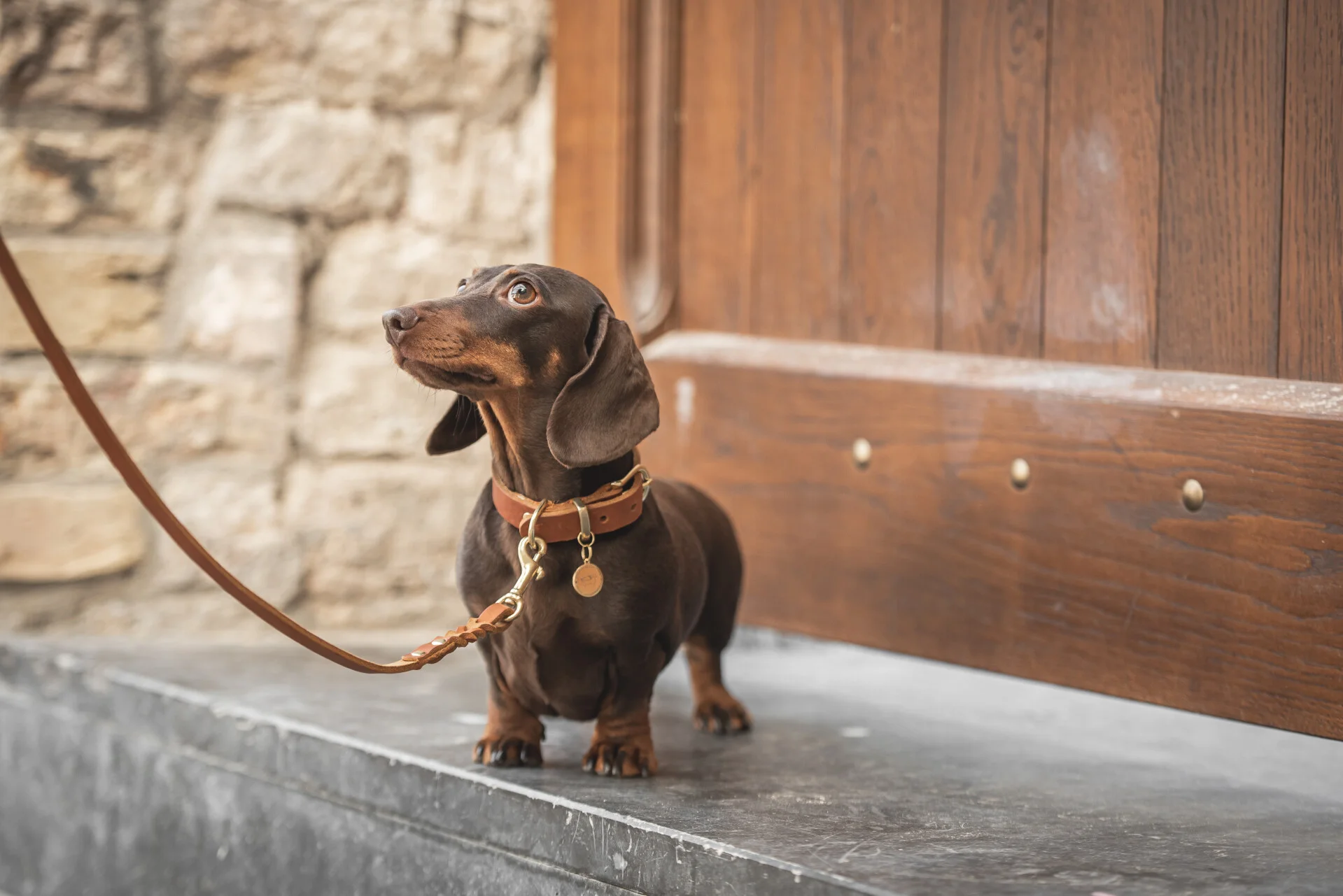 Trixie || Beeztees || Hunter Verkoopwinkel -Trixie || Beeztees || Hunter Verkoopwinkel DSC 5343 bewerkt